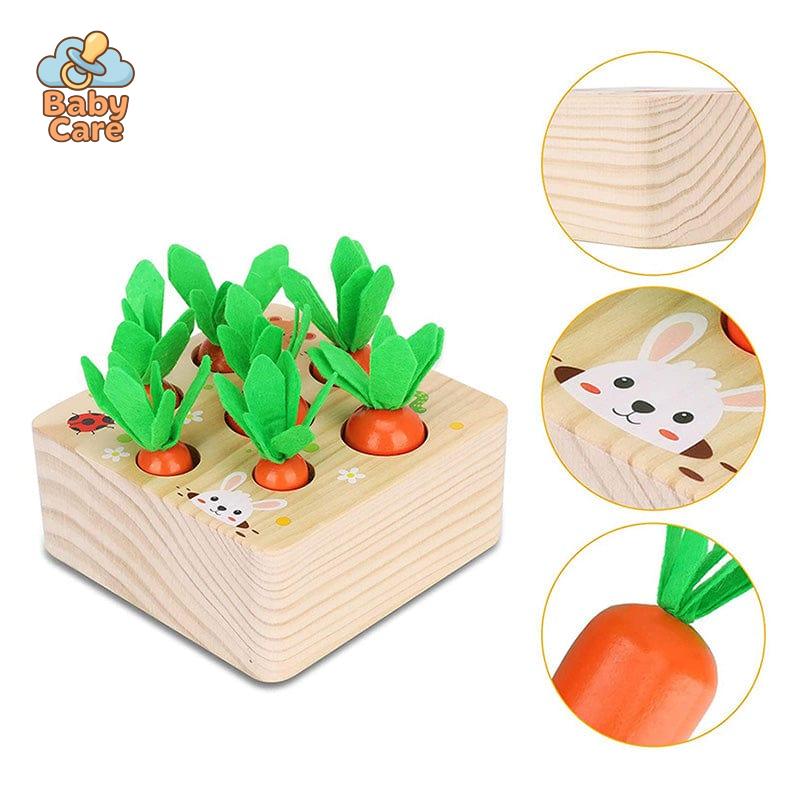 Jouets carottes Montessori en bois