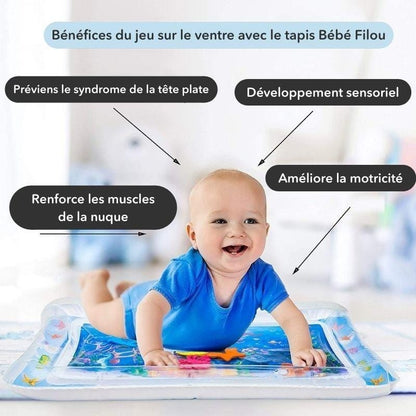 L'éléphant Bibou en Français | Bébé Filou