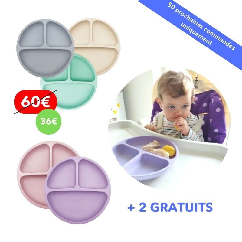 Assiette silicone à ventouse