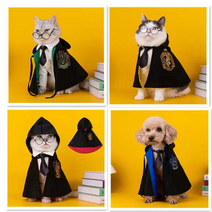 Déguisement harry potter pour chiens et chats