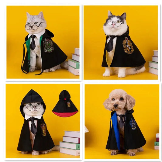 Déguisement harry potter pour chiens et chats