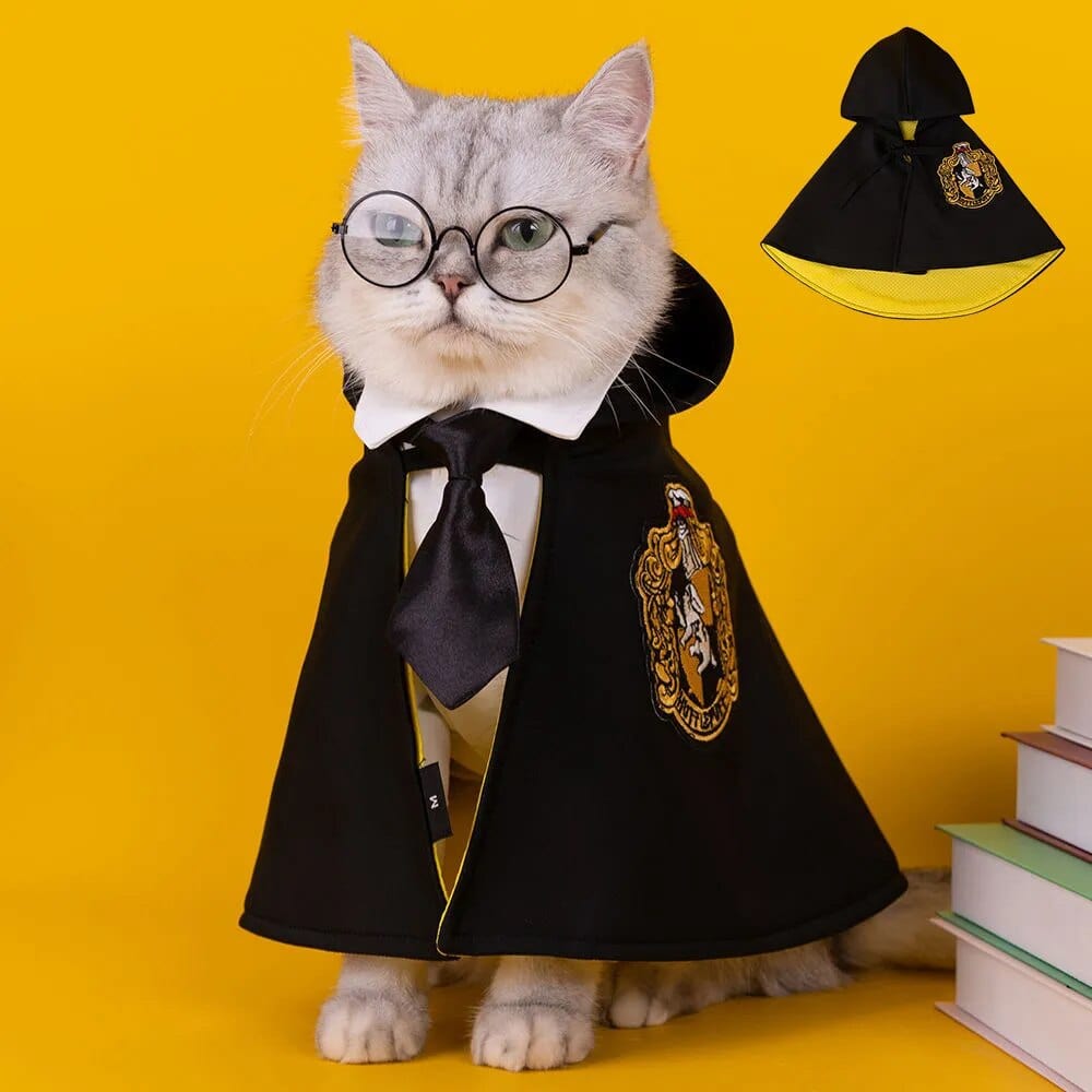 Déguisement harry potter pour chiens et chats