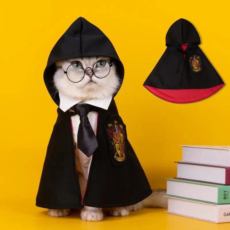 Déguisement harry potter pour chiens et chats