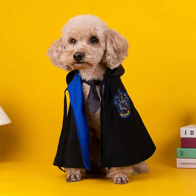 Déguisement harry potter pour chiens et chats