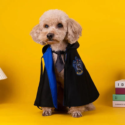 Déguisement harry potter pour chiens et chats