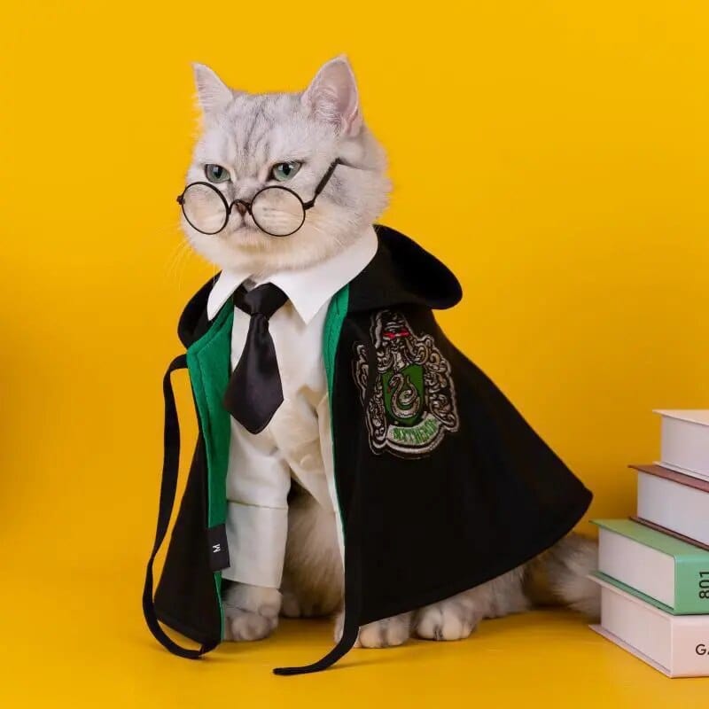 Déguisement harry potter pour chiens et chats