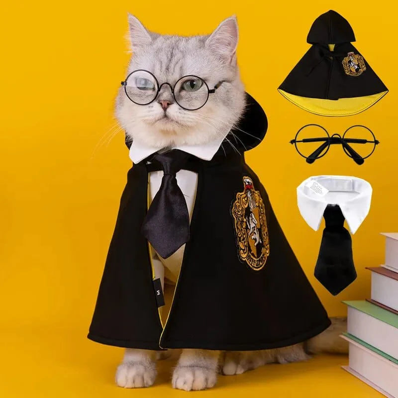 Déguisement harry potter pour chiens et chats