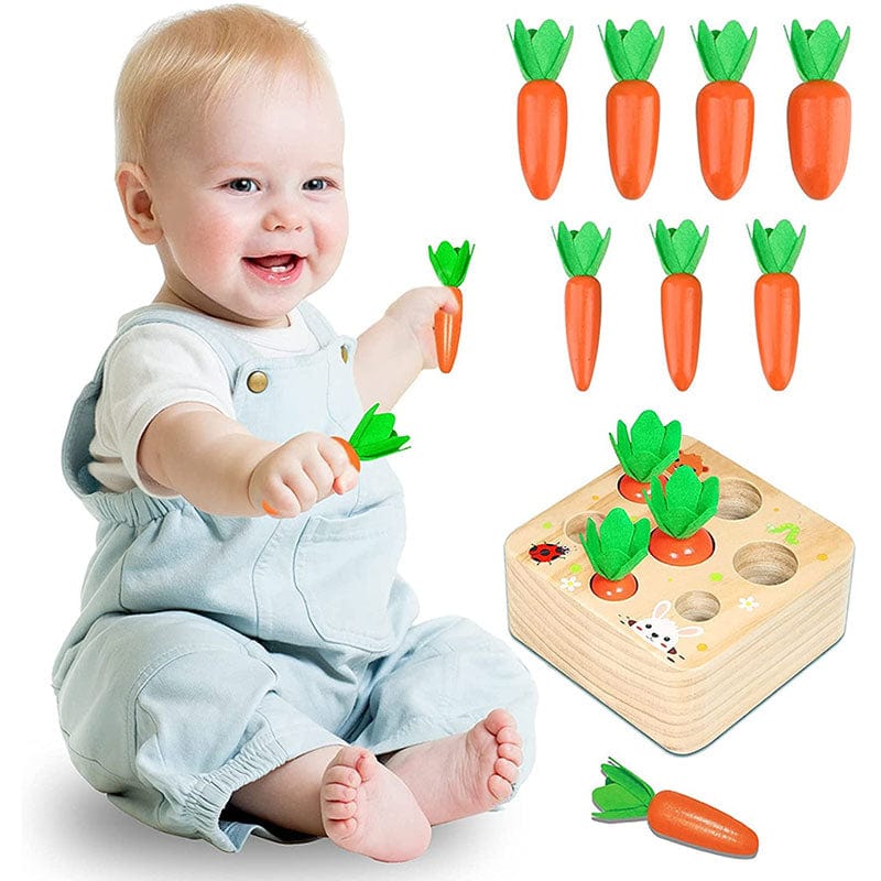 Jouets carottes Montessori en bois