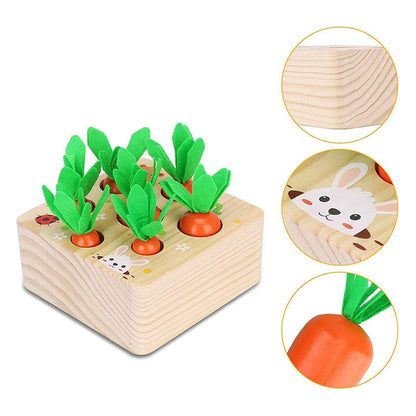 Jouets carottes Montessori en bois