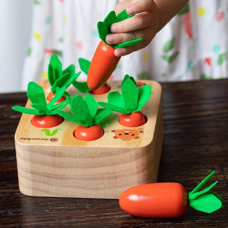 Jouets carottes Montessori en bois