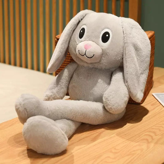 Coco le lapin aux grandes oreilles