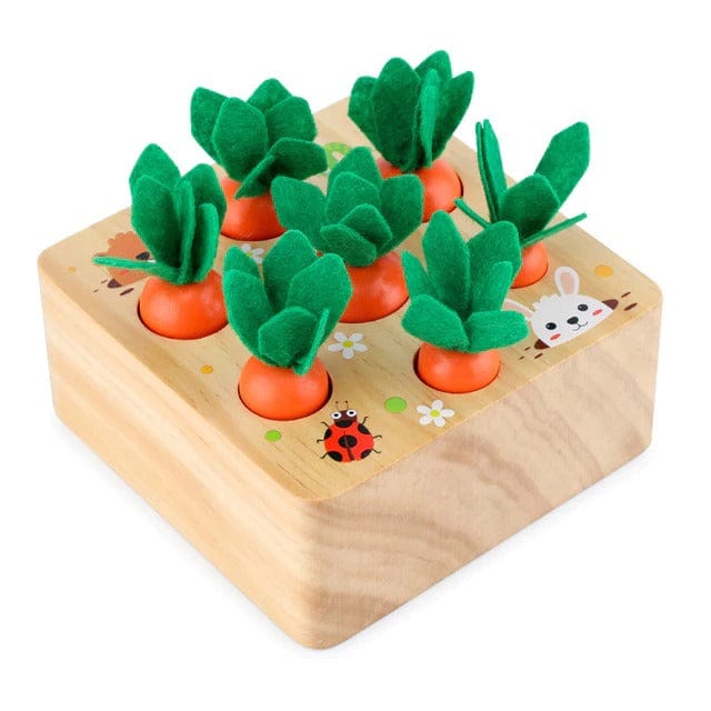 Jouets carottes Montessori en bois