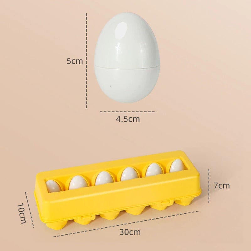 Jouet oeufs Montessori éducatifs