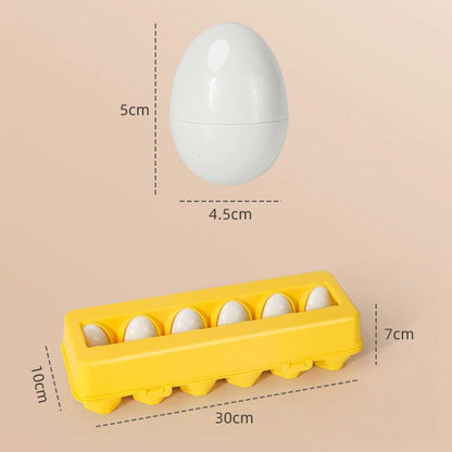 Jouet oeufs Montessori éducatifs